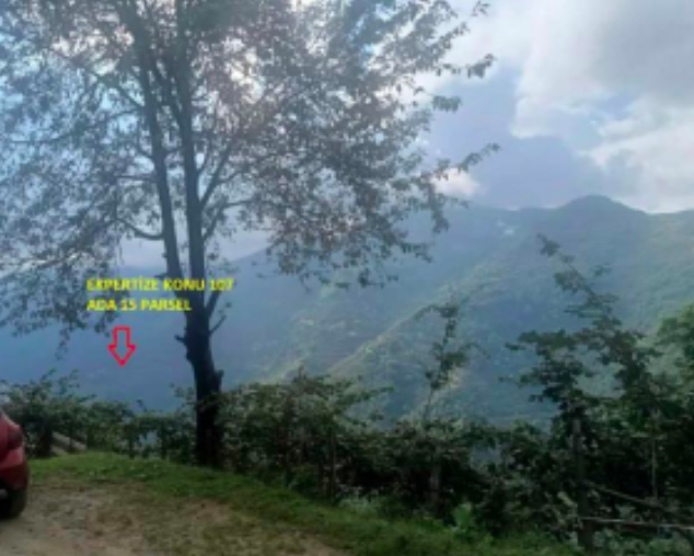 GİRESUN BULANCAK'TA 4.652 M2 SATILIK FINDIK BAHÇESİ